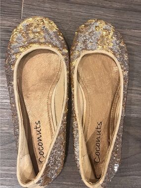 Sparkly ✨ Sequin Covered Ballet Flats in Gold & Silver